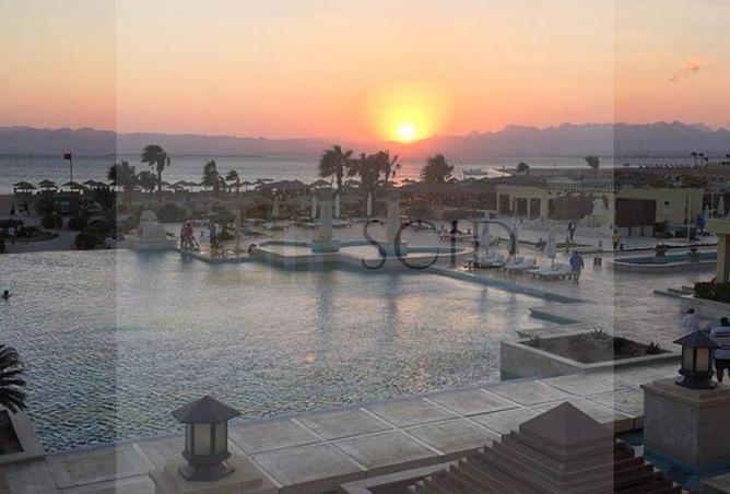 67475099 - صورة العقار 3