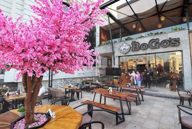 62895176 - Property Image 3