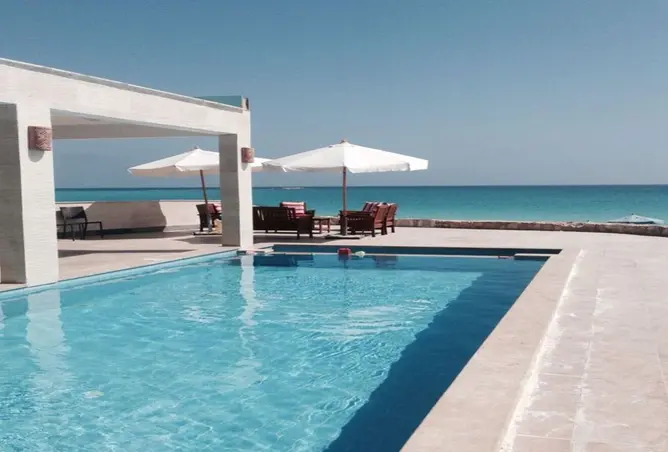 109912470 - Property Image 2