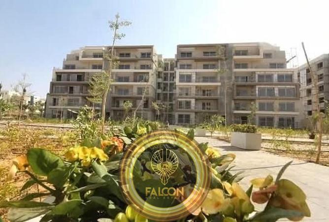 68262727 - Property Image 3