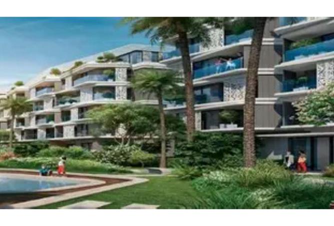 54491096 - Property Image 3