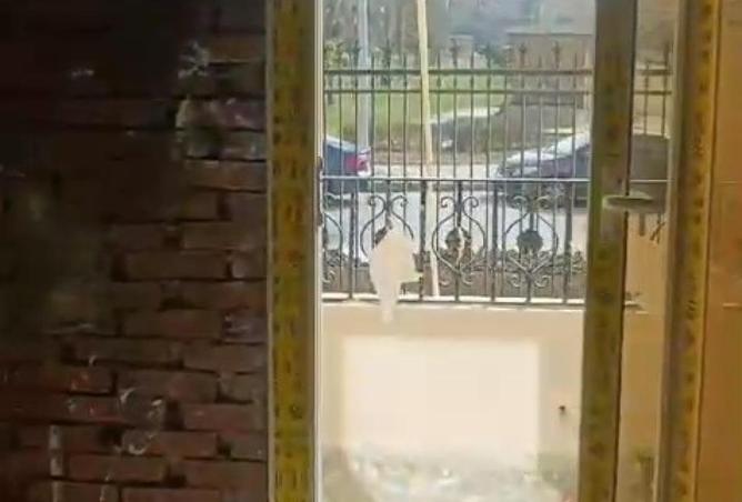 56001203 - الصورة الرئيسية للعقار