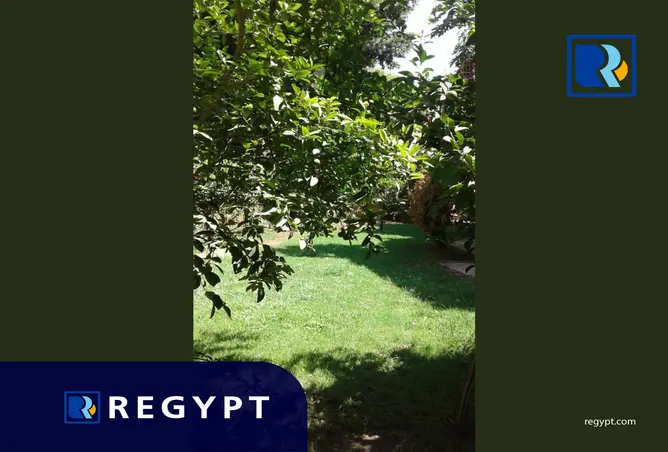 113527755 - صورة العقار 2