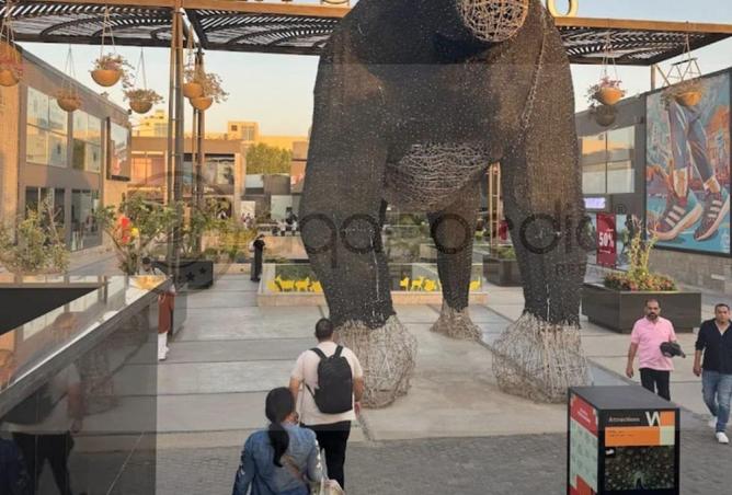 57245409 - صورة العقار 2