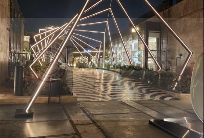 57245409 - صورة العقار 3