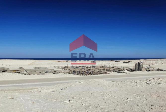 101201484 - Property Image 2