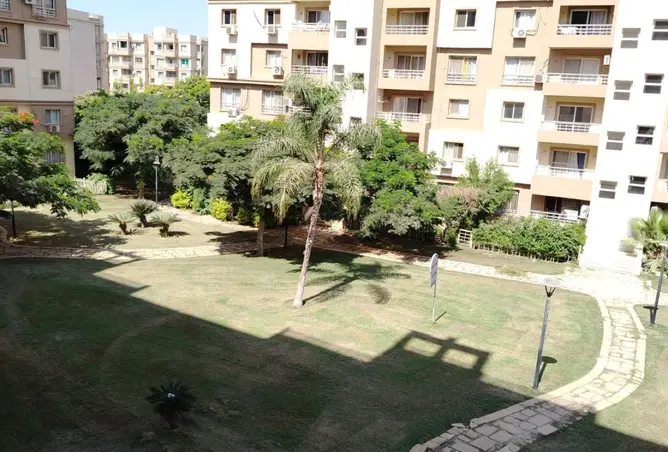117276983 - صورة العقار 2