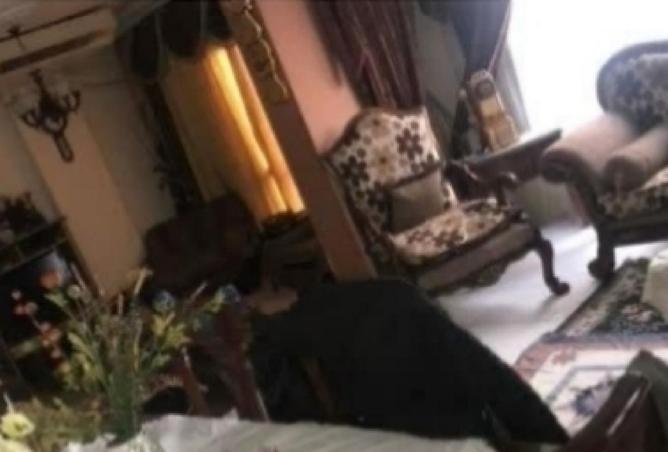 66698916 - Property Image 3