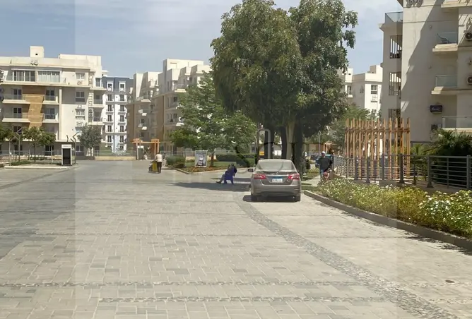 113537533 - صورة العقار 3
