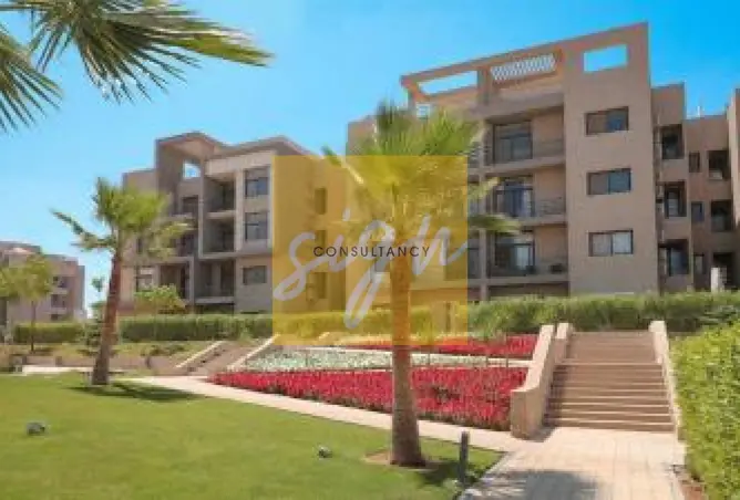115454295 - Property Image 3