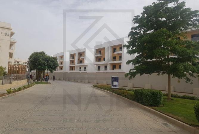 97715594 - Property Image 3