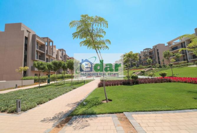 60470941 - Property Image 3