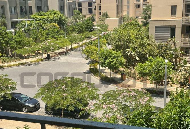 8686427 - Property Image 3