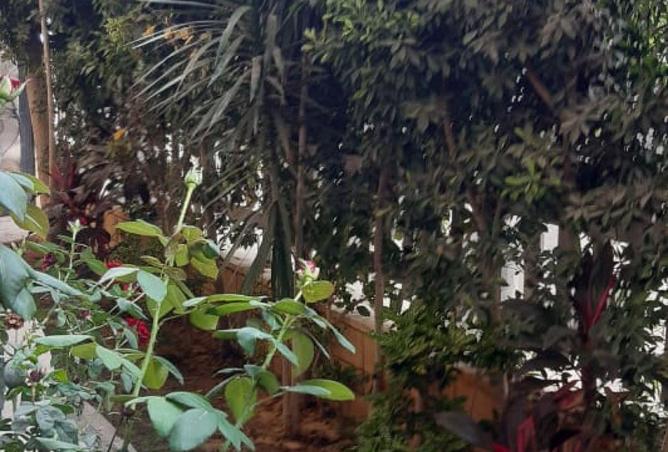 63889798 - Property Image 2