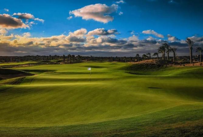 67474248 - Property Image 3