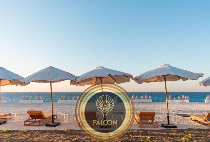 65160640 - صورة العقار 3