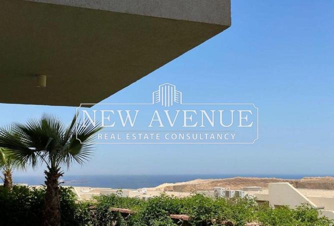 51923918 - صورة العقار 3