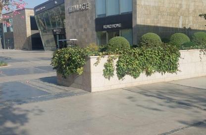 Office Space - 3 Bedrooms - 2 Bathrooms for sale in Walk of Cairo - Sheikh Zayed Compounds - Sheikh Zayed City - Giza