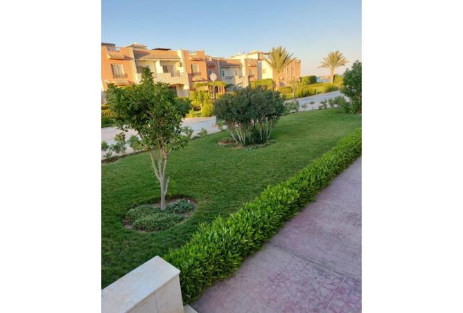 8721874 - Property Image 3