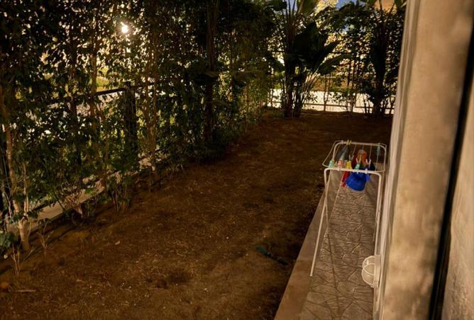 53729911 - صورة العقار 2