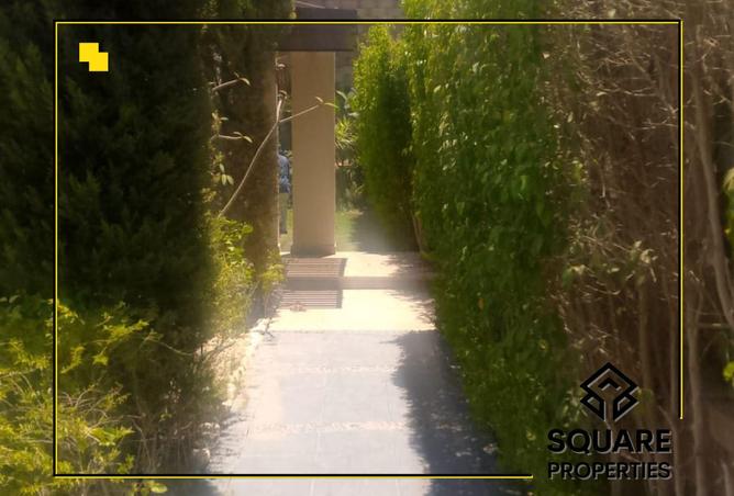 101213395 - صورة العقار 3
