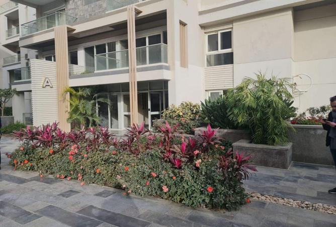 64137804 - صورة العقار 2