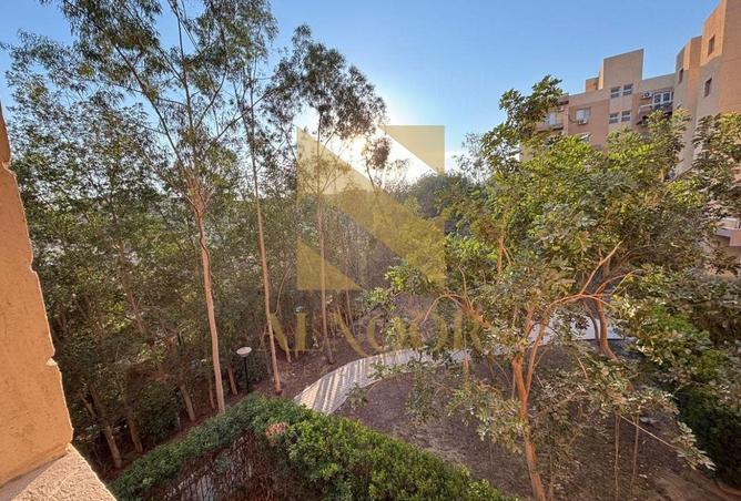 53217706 - صورة العقار 2