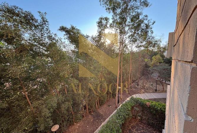 53217706 - صورة العقار 3