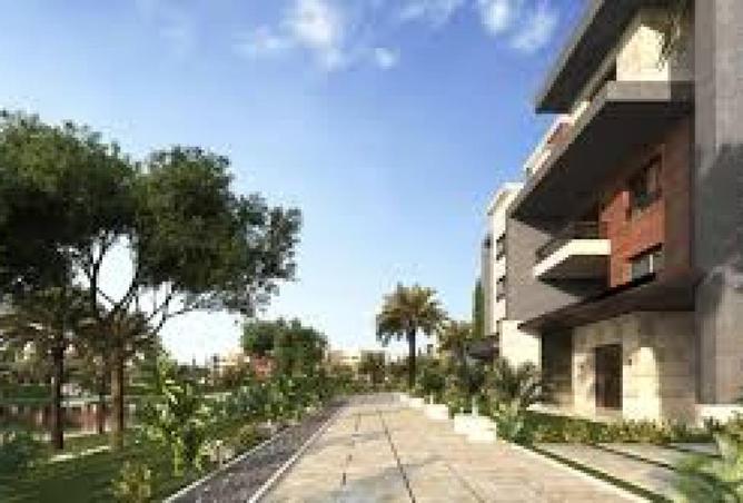 58244914 - Property Image 3