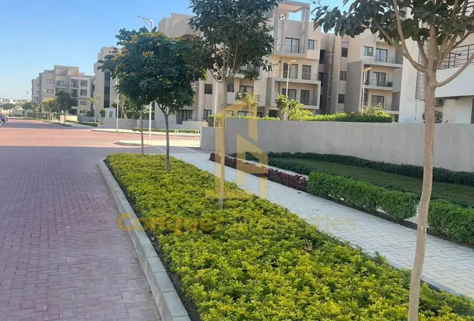 117538667 - Property Image 3