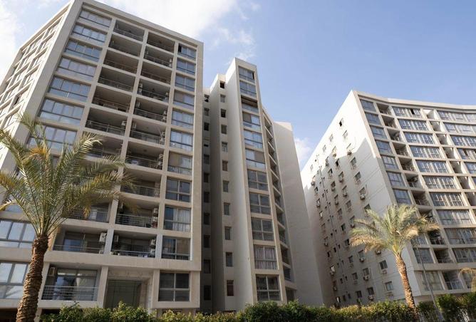 81569004 - Property Image 3