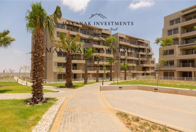 52463974 - Property Image 3