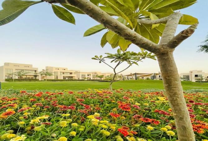 8623660 - صورة العقار 2