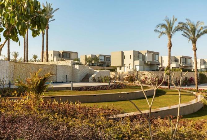 66429093 - صورة العقار 2