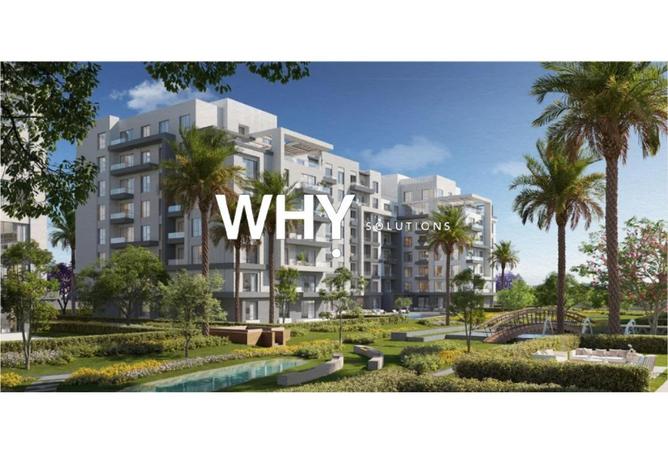 68538284 - Property Image 3