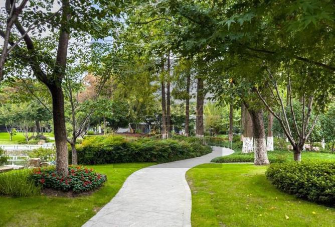 56496133 - صورة العقار 3