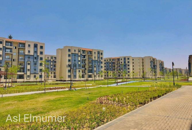 79729328 - صورة العقار 2