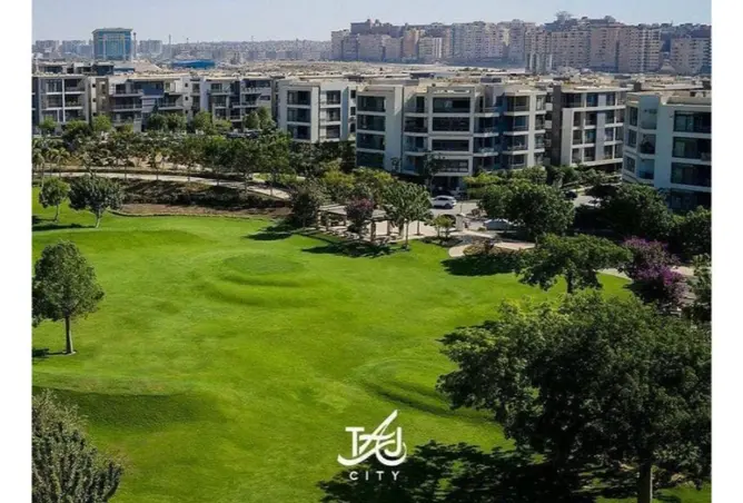 81578476 - Property Image 3