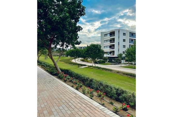 81578476 - Property Image 2
