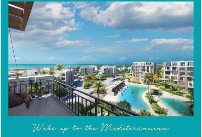 64649839 - Property Image 3