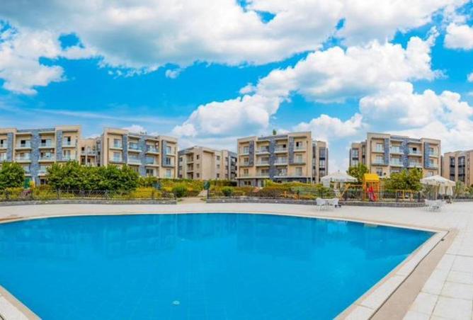 66173191 - Property Main Image