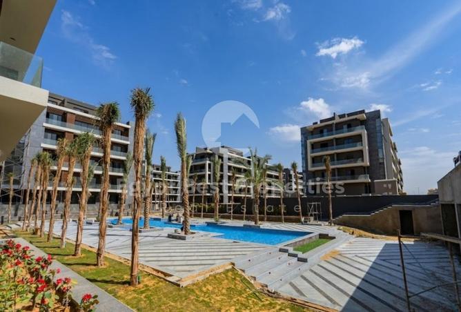 54233295 - Property Image 3