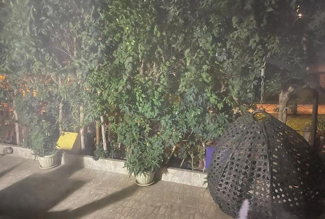 65656204 - الصورة الرئيسية للعقار