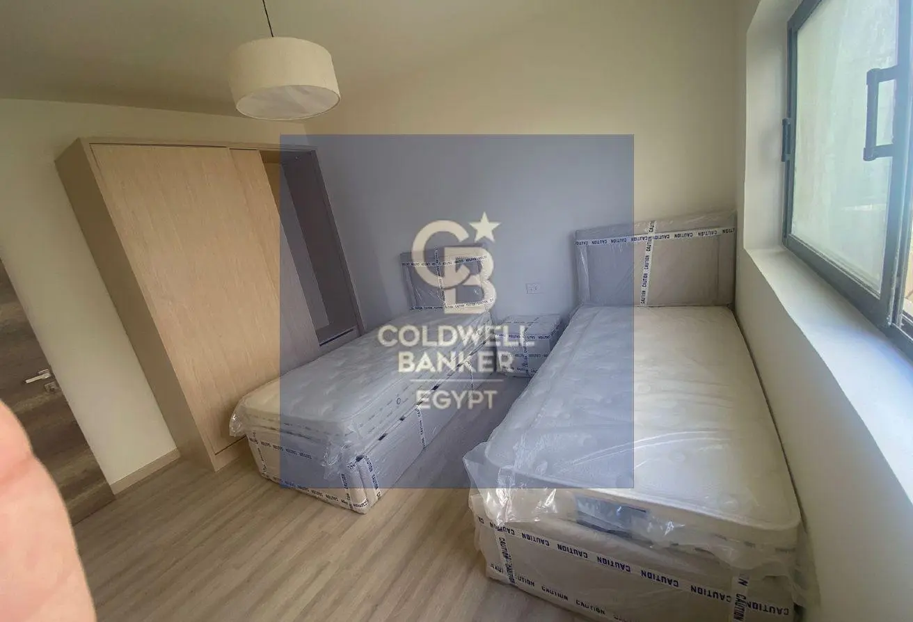 116493314 - الصورة الرئيسية للعقار