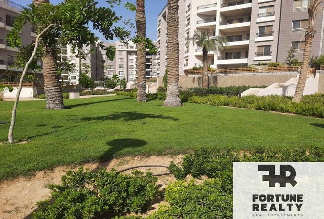 65156396 - صورة العقار 3