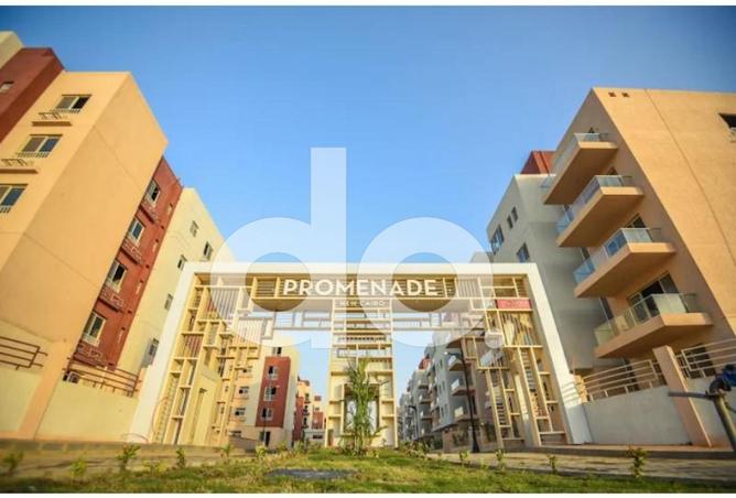 62642954 - Property Image 3