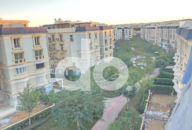 97719973 - Property Image 3