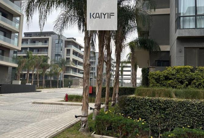 59246782 - Property Image 3