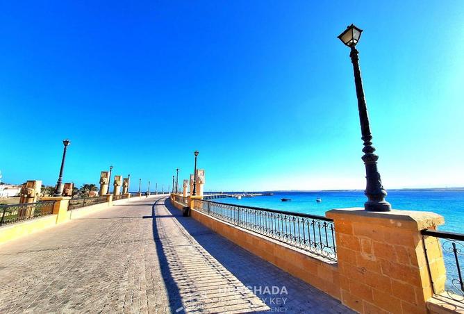 64902022 - صورة العقار 2