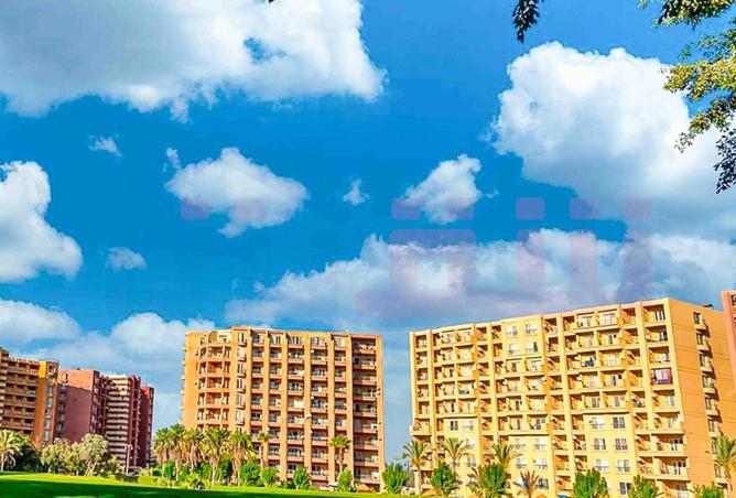 66949950 - صورة العقار 2